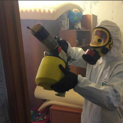 Уничтожение клопов в квартире. Жуков